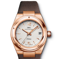 Prix et Tarifs des Montres IWC Ingénieur