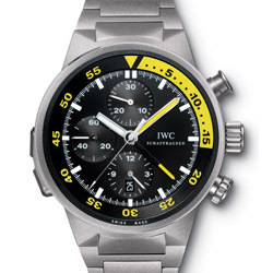 Prix et Tarifs des Montres IWC Aquatimer