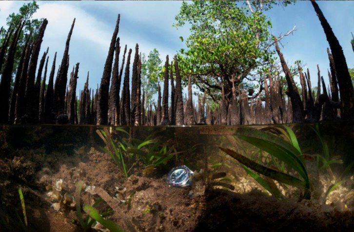 OMEGA lance « Time for the Planet » en Indonésie