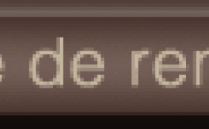 Service annonceurs / publicité
