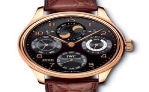 Prix et Tarifs des Montres IWC Perpetual Calendar